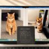 Before and after comparison of custom pet portrait engraving on a personalized slate memorial coaster displayed in front of a laptop showing original photos of two orange cats.