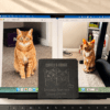 Custom Pet Photo to Engraved Slate Memorial Coaster Transformation Before and after comparison of custom pet portrait engraving on a personalized slate memorial coaster displayed in front of a laptop showing original photos of two orange cats.