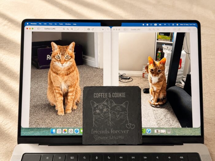 Before and after comparison of custom pet portrait engraving on a personalized slate memorial coaster displayed in front of a laptop showing original photos of two orange cats.