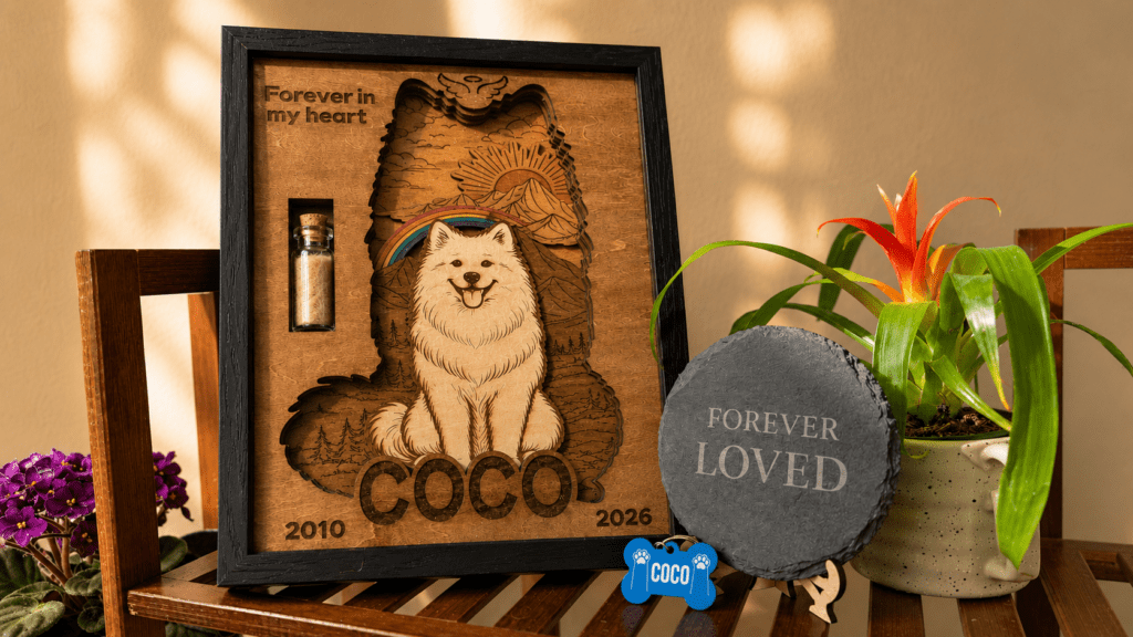 Warm lifestyle display of a personalized wooden pet memorial shadow box styled with a memorial slate coaster, custom pet tag, and houseplants on a wooden bench.