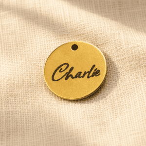 Personalized gold-tone paw print earring charm engraved with the name "Charlie," displayed on soft beige linen fabric in warm natural light.