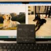 Protective Packaging for Personalized Memorial Coasters Personalized slate pet memorial coaster displayed in front of a laptop screen showing the original dog photos used to create the custom engraved memorial design.