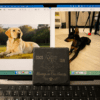Personalized slate pet memorial coaster displayed in front of a laptop screen showing the original dog photos used to create the custom engraved memorial design.