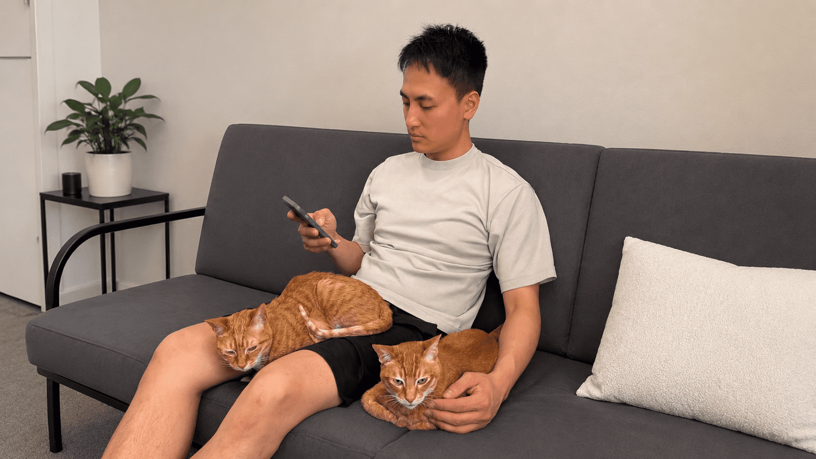 A man sitting on a gray sofa while two orange tabby cats relax comfortably on his lap in a clean, cozy living room.
