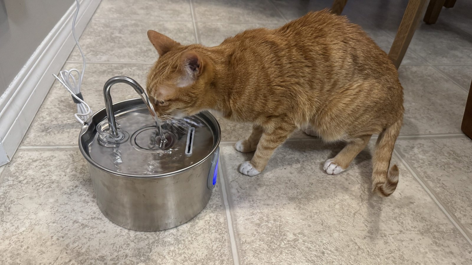 Senior orange tabby cat drinking from a stainless steel pet water fountain on a tiled kitchen floor indoors.