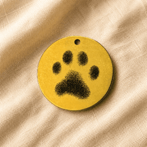 Round gold paw print keychain charm with minimalist black engraved paw illustration on a warm beige linen fabric background.