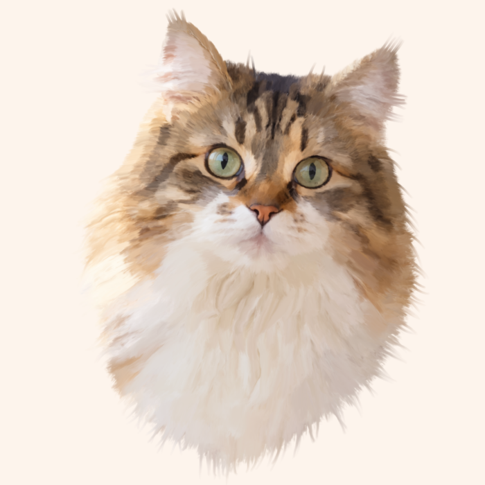 Custom oil painting style pet portrait of a fluffy brown tabby cat with green eyes, white chest fur, and warm golden tones against a soft cream background.