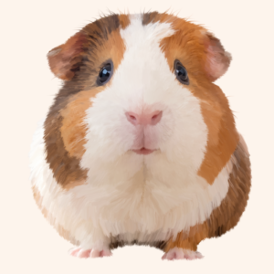 Custom oil painting style full body portrait of a guinea pig with white, brown, and caramel fur, pink paws, and a soft cream background.