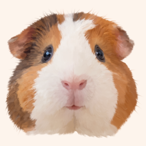 Custom oil painting style head only portrait of a guinea pig with white, brown, and caramel fur, shiny dark eyes, and a soft cream background.